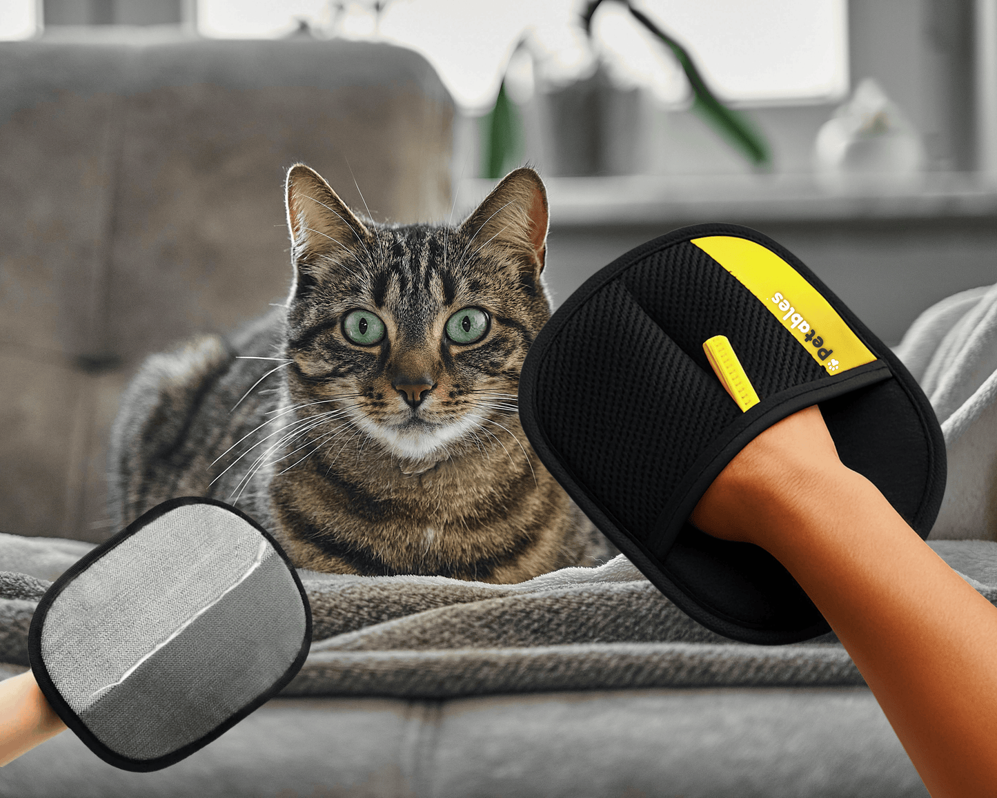 Pet Hair Removal mitt